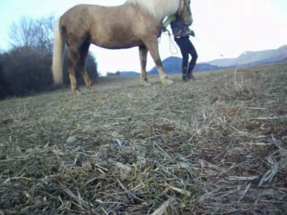 22 janvier 2011