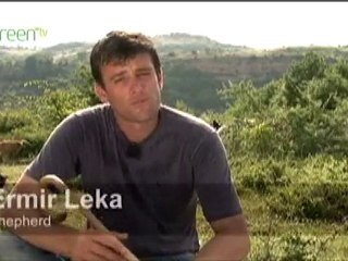 Saving Albania's Forests 🌲