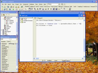BUSQUEDA INCREMENTAL EN DELPHI - VIDEO 03