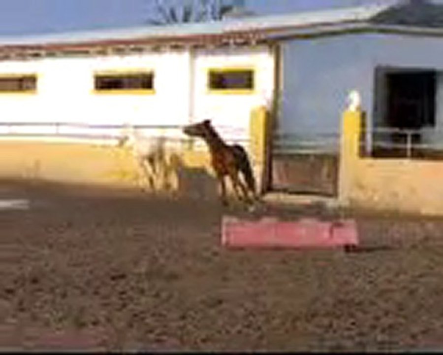 Alaska 1