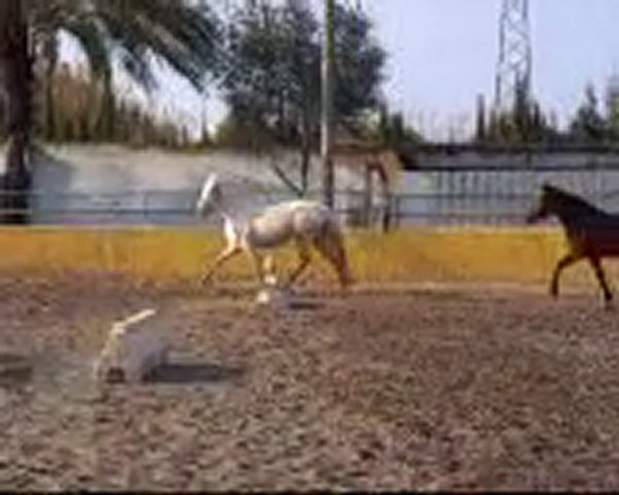 Alaska 2