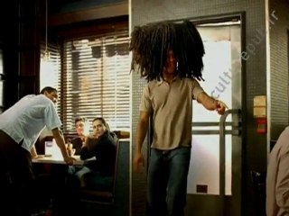 Le chien perruque / Bud Light