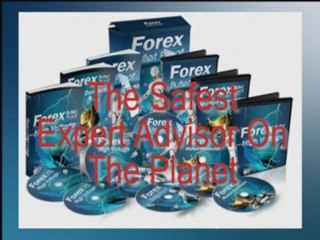 Forex Expert Advisor - Amazing Results