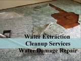 Houston Water Damage - Call (888) 243-6653