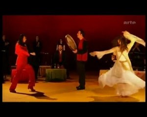 VERTIGES du flamenco a la transe (Tony Gatlif)2/6