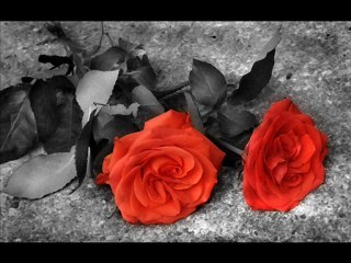 TİMUR ÇAYIR - SİNAN CERAN - SAKLAMBAÇ