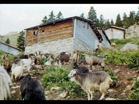 yayla amlakit-1 kavrun.tr.gg