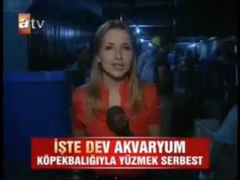 Dev akvaryum - - www.akvaryumzevki.com