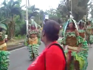 Parade dimanche 06 février