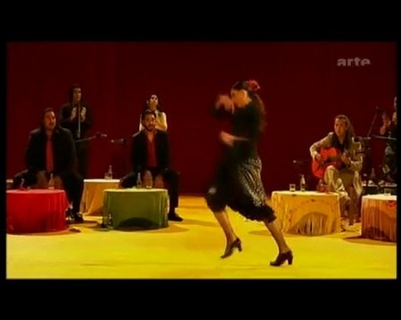 VERTIGES du flamenco a la transe (Tony Gatlif)3/6