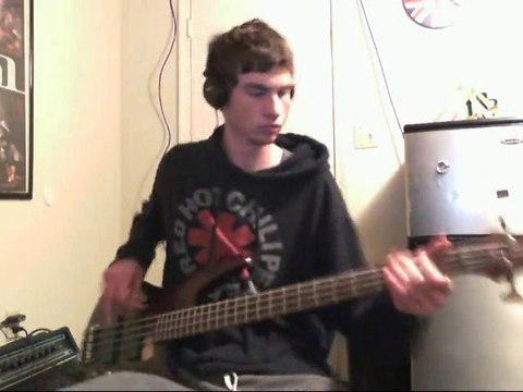 Stone Cold Bush Red Hot Chili Peppers