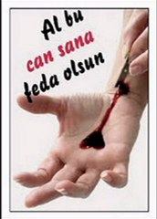 nereden sevdim o zalimi