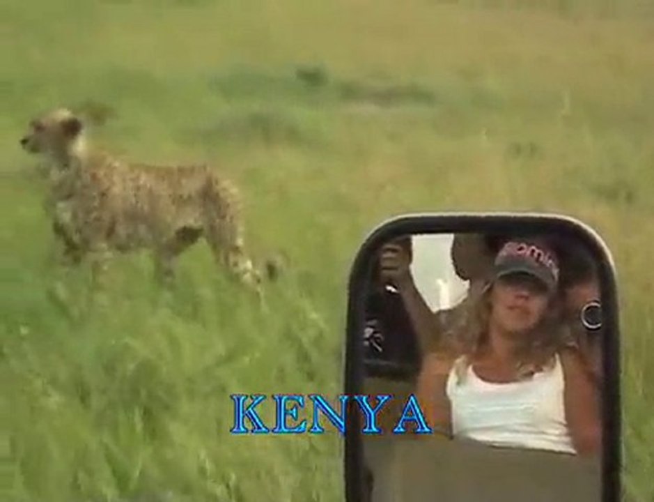 Hitching a ride.