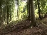 Neil Donoghue - Downhill Mountain Bike Trails