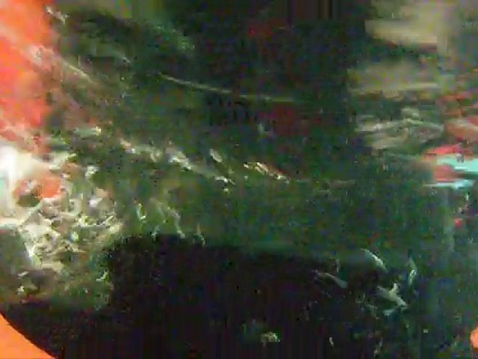 back in boat while upside down