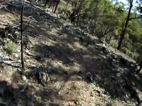 Canberra/Queanbeyan Australia - MTB Singletrack Helmet Cam - Jerra Off Camber Singletrack