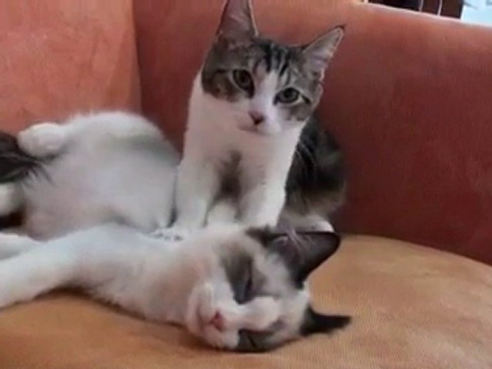 たみちゃんのマッサージ！！！
