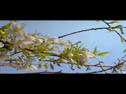 Hz.Muhammed (s.av)-Bu Ümmetin Üstünlüğü