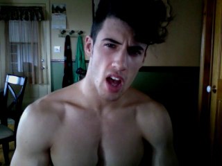 A tout ceux qui harcelent avec leurs photos de chat