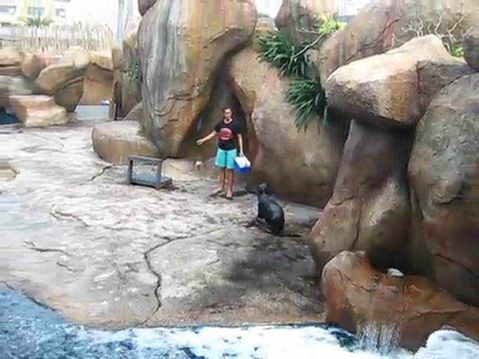 occan park