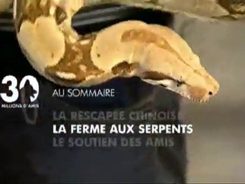 Sommaire émission 30 millions d'amis 13 02 2011