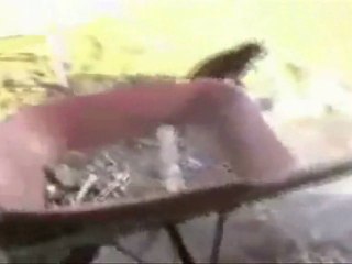 TF2 soldier and the cats