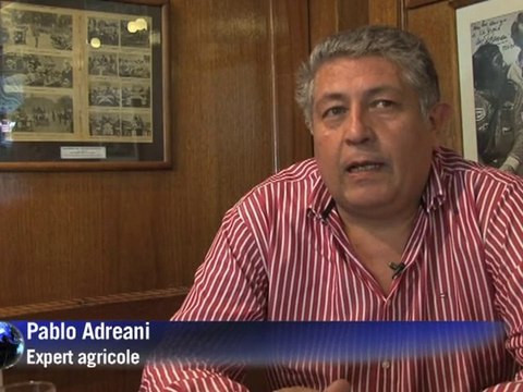 Bovins argentins: l'élevage intensif se généralise