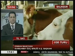 Dursunbey Güç Birliği