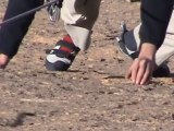 Climbing Sahara Algéria