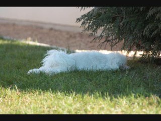 friska flora 7 fevrier 2011.