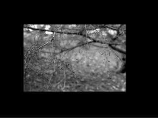 «La vie de Simon» - Elsa Simon (EnsAD 2010)