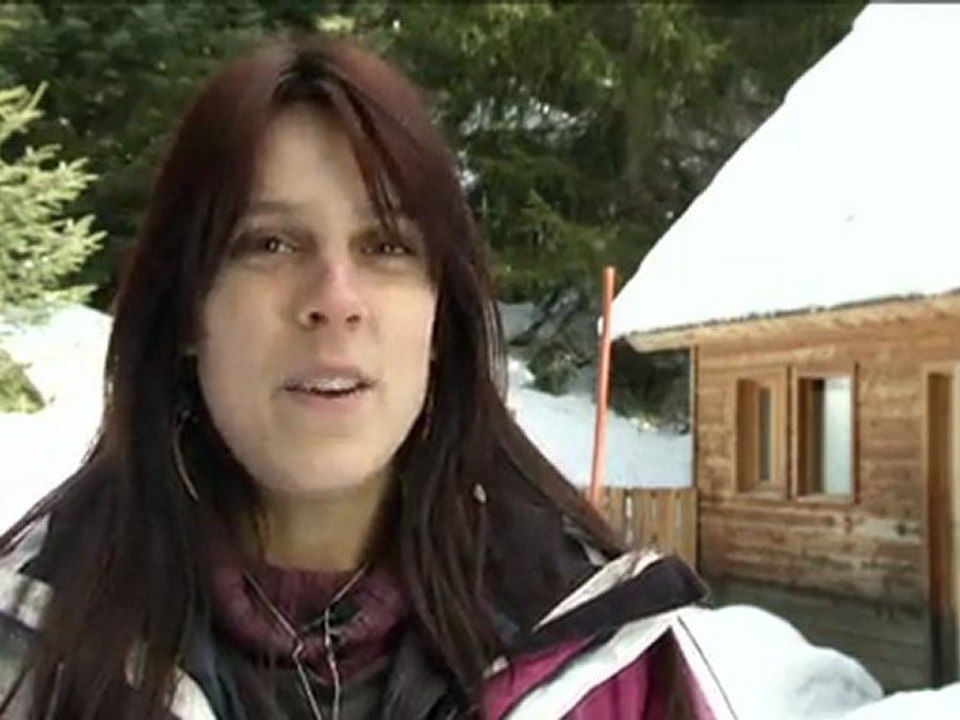 Coolori Nice Sujet Loups-FCSvr Web