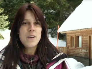 Coolori Nice Sujet Loups-FCSvr Web