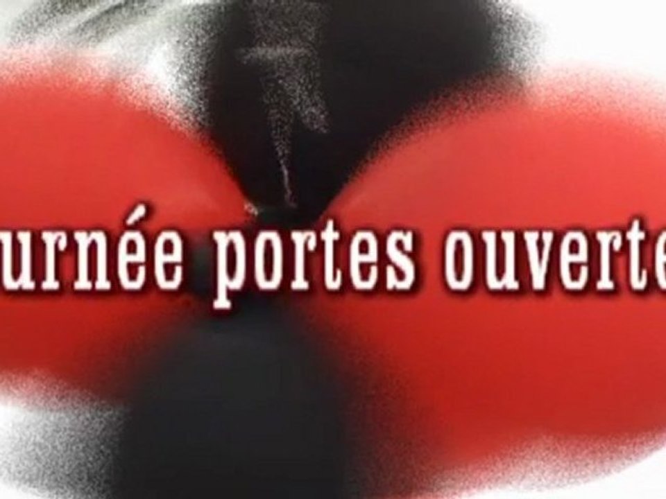 Journée Portes ouvertes La Vitréenne Handball 2 octobre 2010