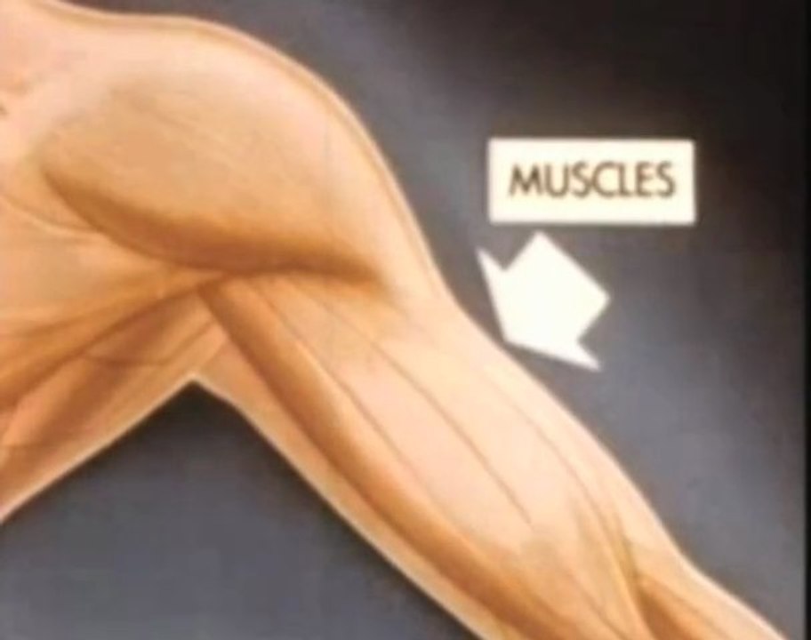 BREAK THE WORLD extract_Didoo & Mademoiselle Bulle