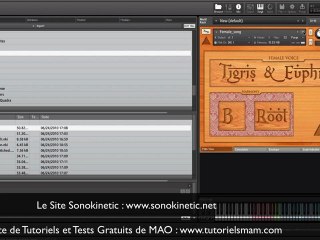 TUTO MAO : Test Gratuit de Tigris ans Euphrates de Sonokinet