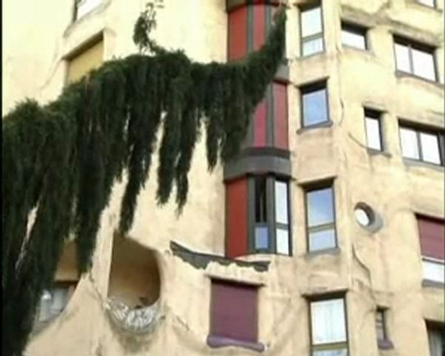Ginevra
