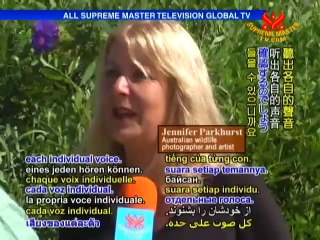 The Dignified Dingoes of Australia's Fraser Island - P2/2