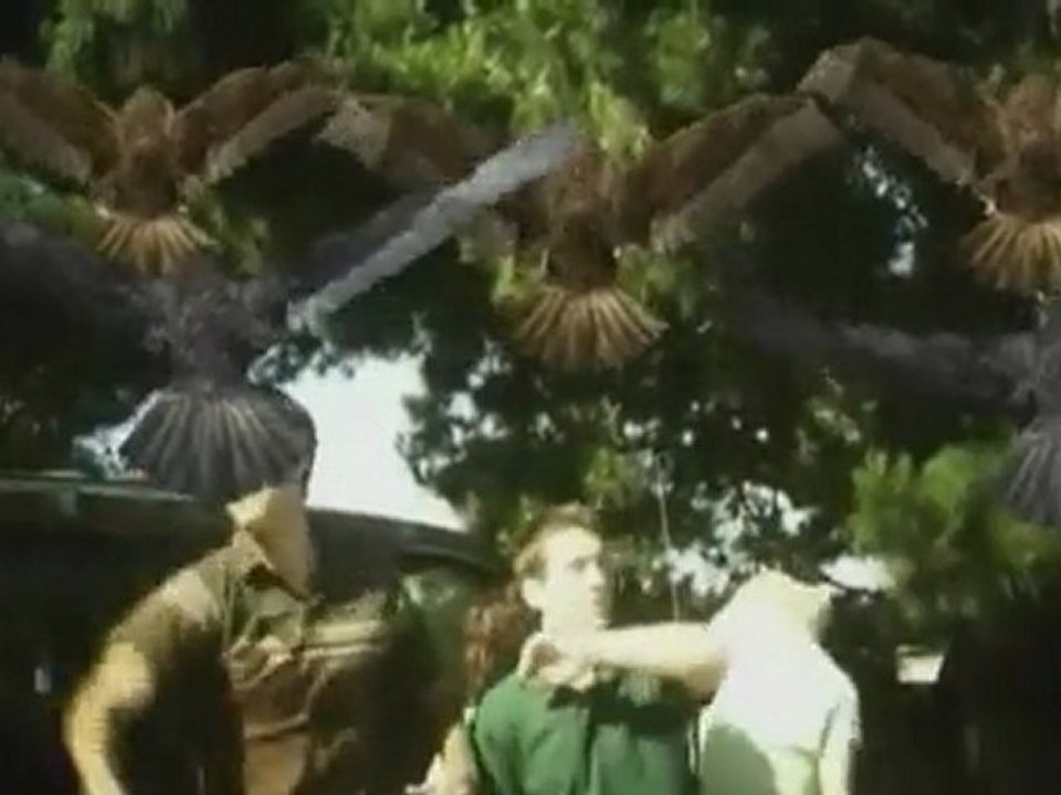 Birdemic