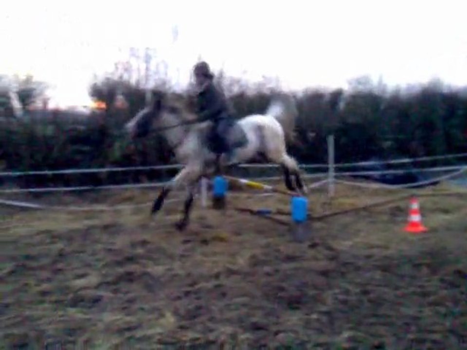 enchainement trot et galop