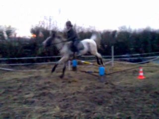 enchainement trot et galop