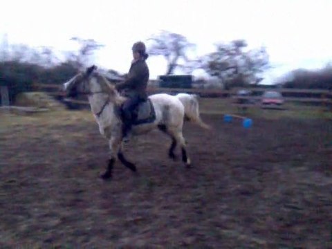 trot et galop obstacle