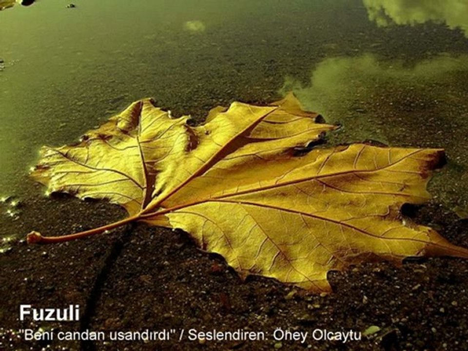 Fuzuli - "Beni candan usandırdı.."