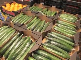 Arbuzy Bronisze Geofruit sp.j.