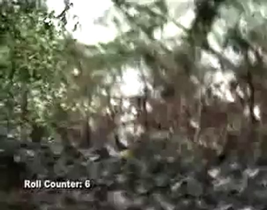 Flood Stage Kayaking