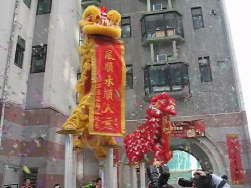 liondance2011