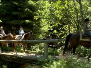 Got To Get Knowledge - Vacant Vatican