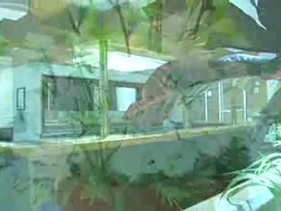 Hospitality Tourism Admin Program at Centennial College