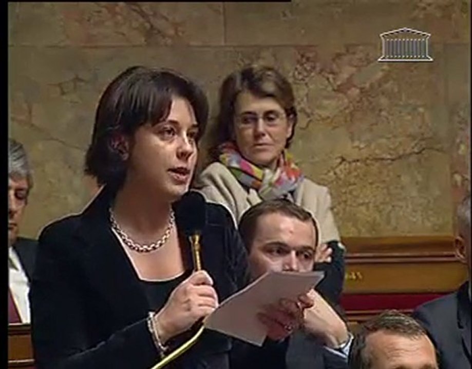 Sylvia Pinel interroge le gouvernement sur la dépendance