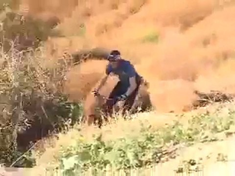 Brian Foster: Holiday 08 Web Edit